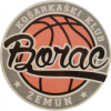 Borac Zemun